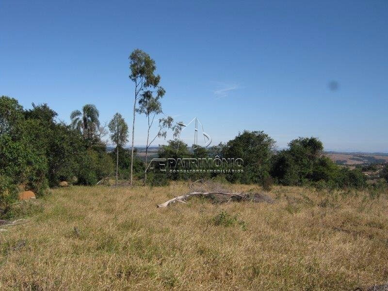 Terreno (1)