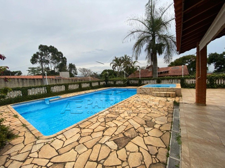 WhatsApp Image 2025-11-13 at 15.45