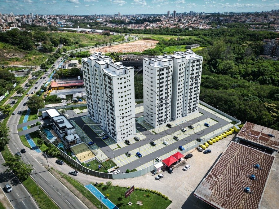 Watize Imagem 04_03_2026 as 16_58